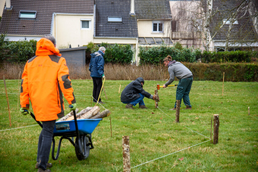 Plantation Verger la sourderie