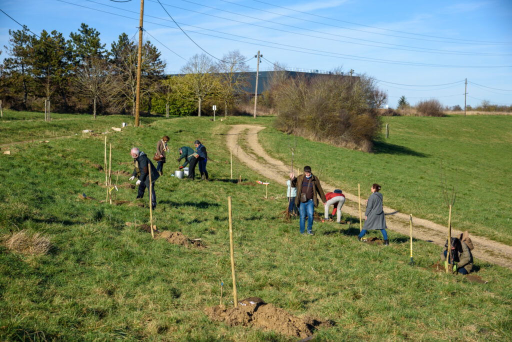 plantation verger participatif La Verrière Val Favry