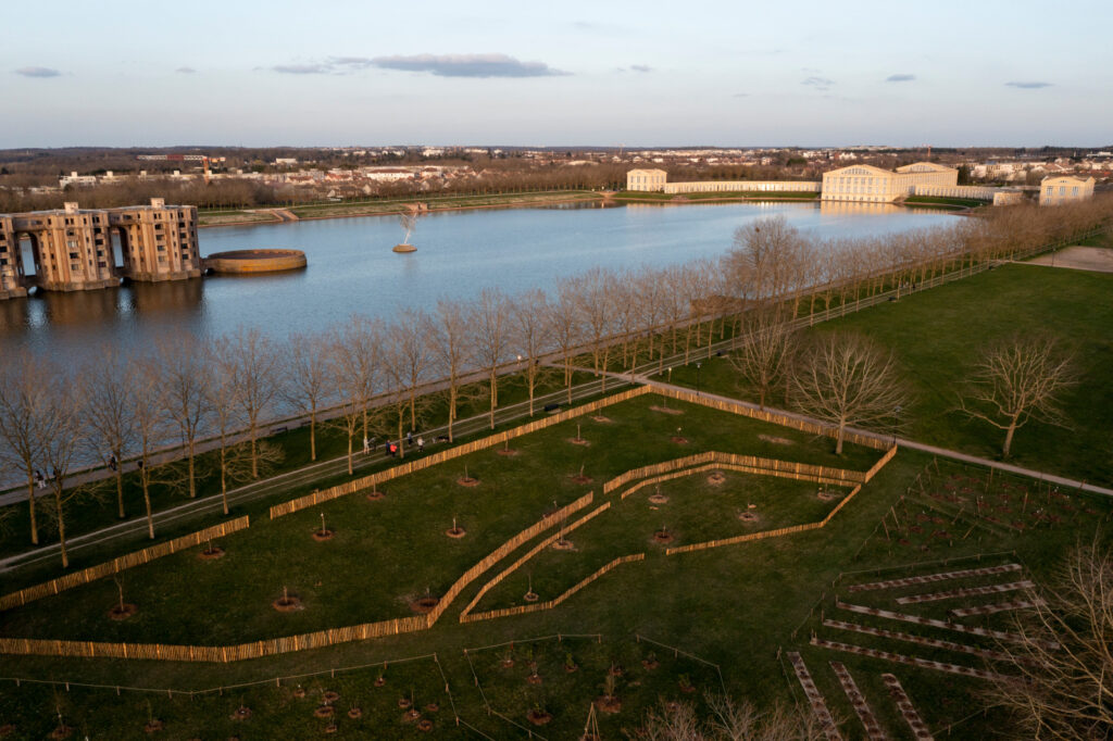 Plantation Verger la sourderie