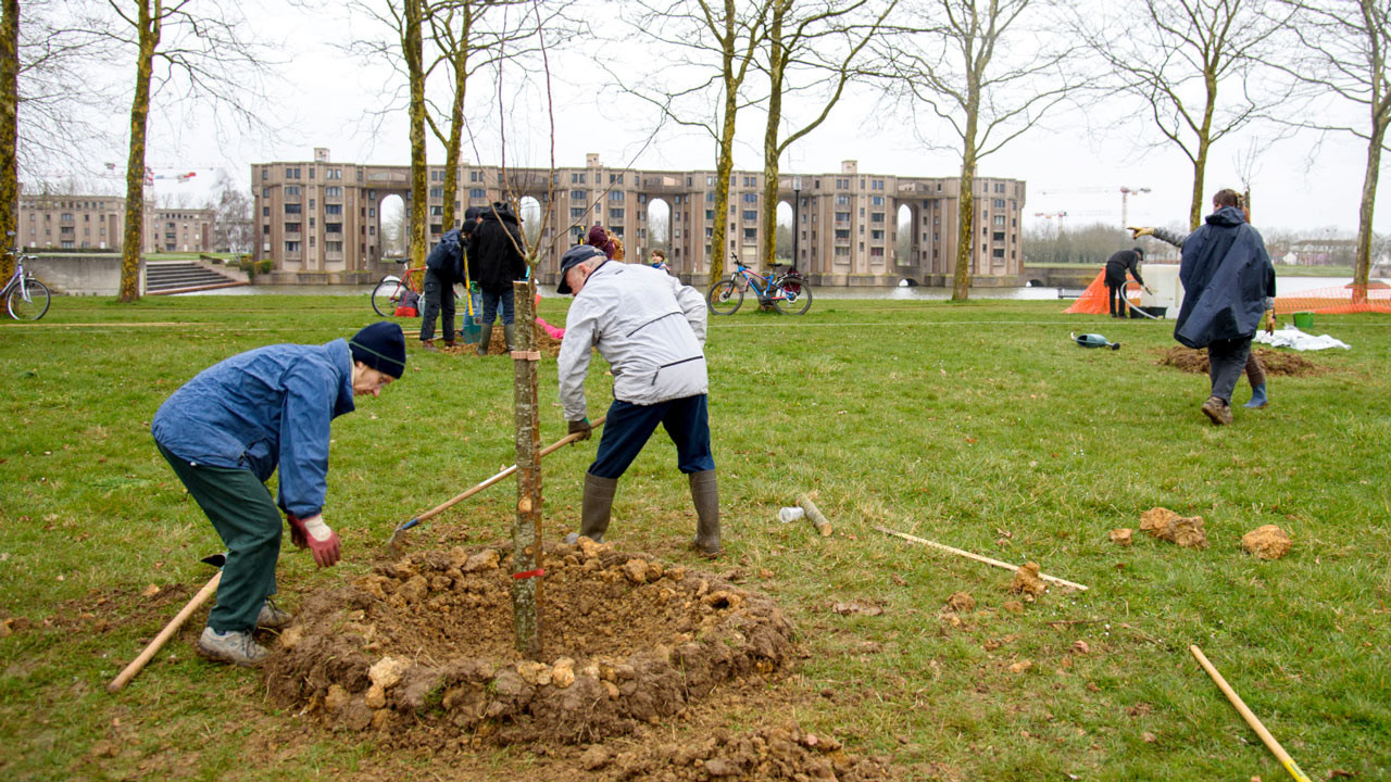 Vergers participatifs à Saint-Quentin-en-Yvelines