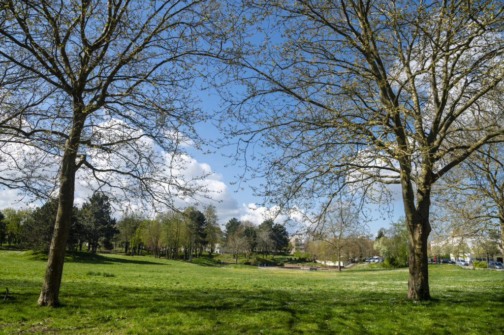 Rénovation parc de la Pleine de Neauphle